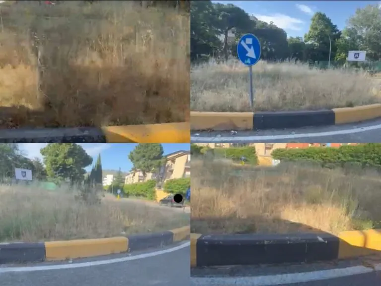Rotonda nella zona centrale nel degrado, urge intervento
