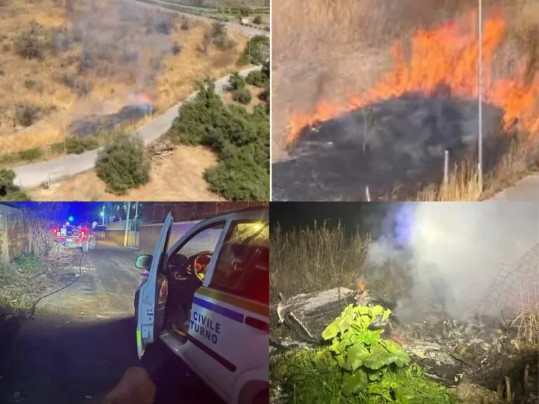Continui roghi sul litorale, pompieri e Protezione Civile sul posto