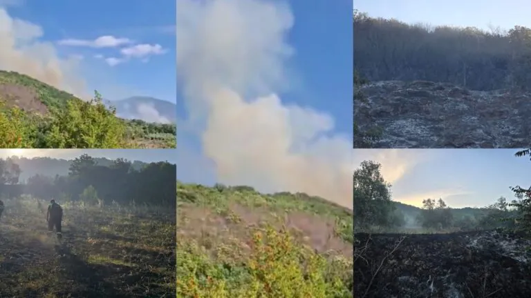 Vasto rogo nella frazione, l’intervento di pompieri e Protezione Civile