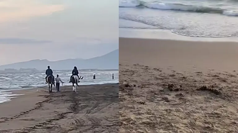 Cavalli sulla spiaggia lasciano sabbia sporca di letame: “Serve rispetto, è un’area frequentata da bambini”