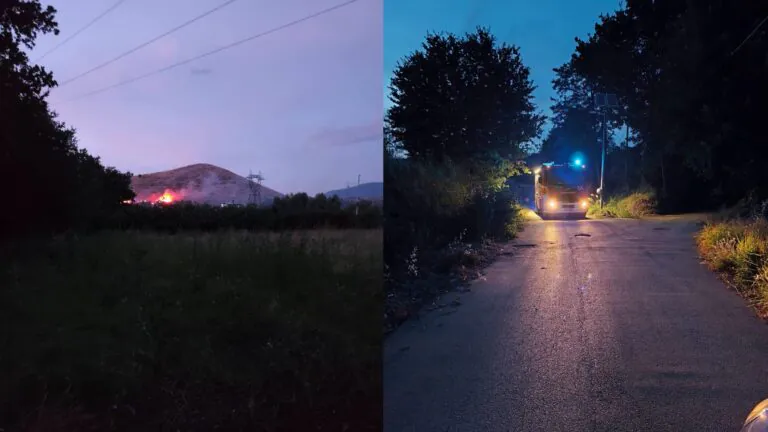 Vegetazione in fiamme, vasto rogo minaccia le abitazioni