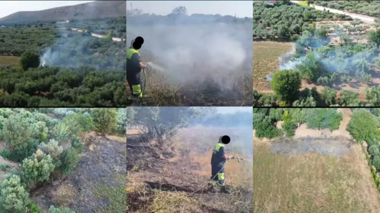 Terreni in fiamme, paura nei pressi di un canile
