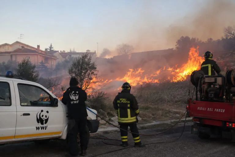 Campagna a fuoco nei pressi di abitazioni, pompieri e Wwf in azione