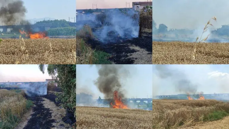 A fuoco campo di grano: fiamme minacciano la linea ferroviaria