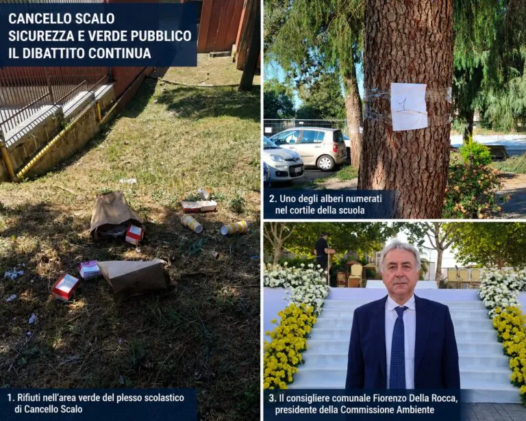 Della Rocca al Comitato Vivere: «Attendiamo proposte concrete, non solo critiche