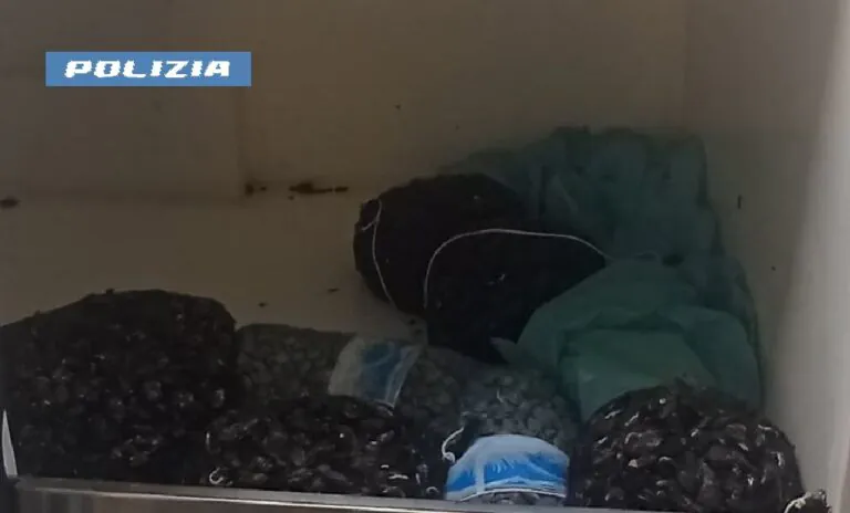 Fermato dalla polizia: nel furgone 70 chili di cozze e vongole senza tracciabilità