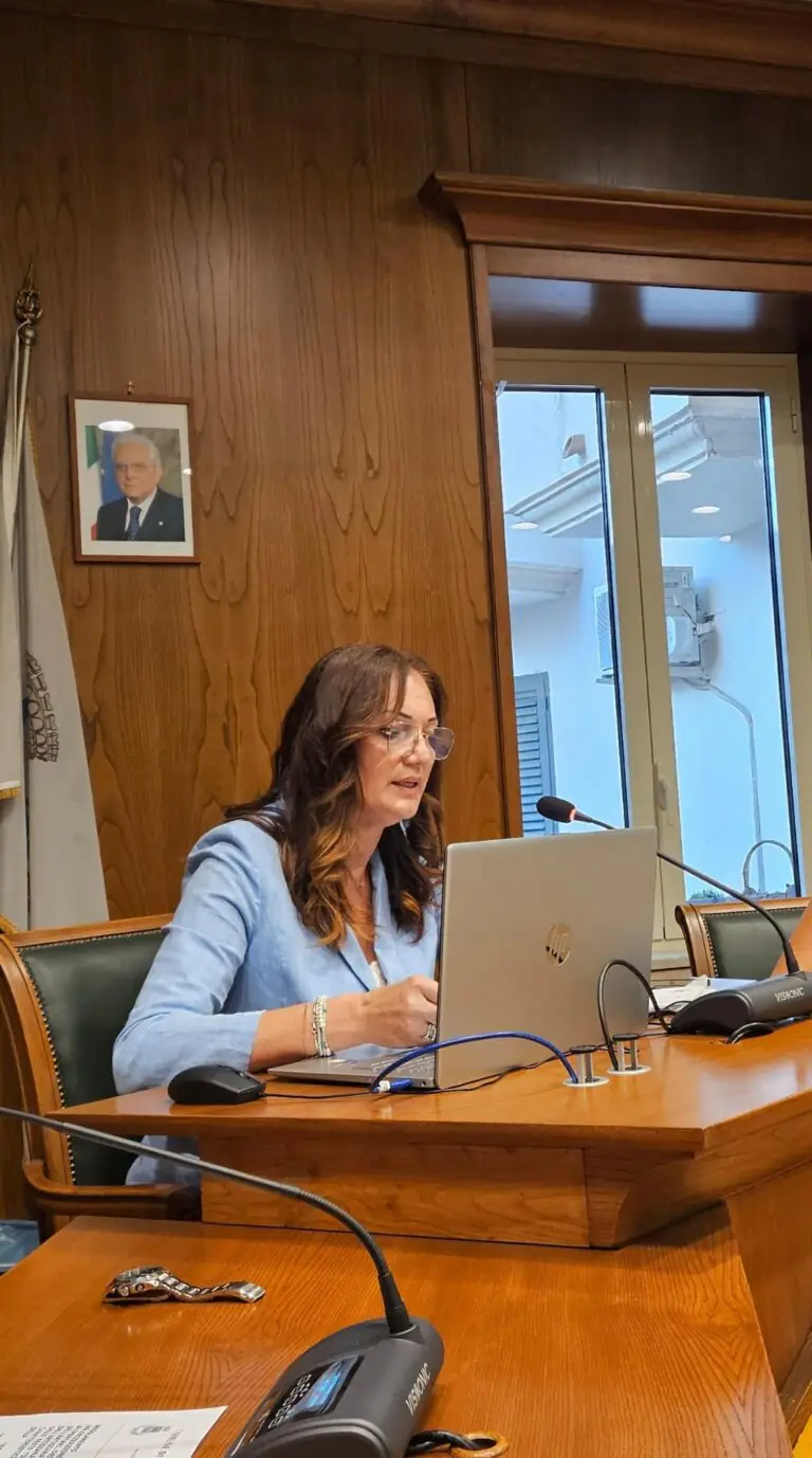Consiglio comunale, il Presidente Natale: “Il rispetto delle istituzioni passa da quello dei ruoli”