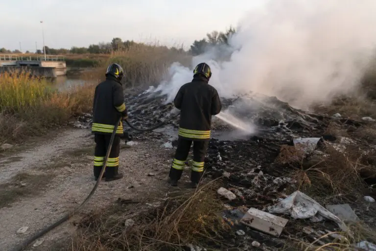 Rogo nei pressi del depuratore, pompieri e wwf in azione