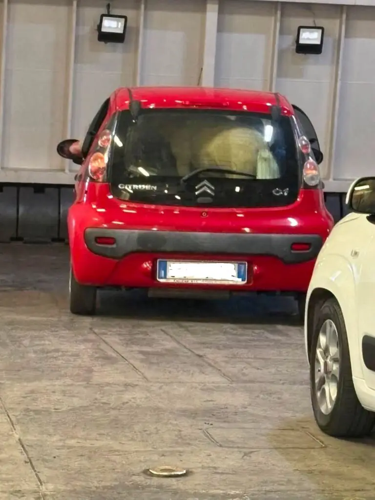Pony nel bagagliaio di un’auto sul traghetto: “Grave episodio di maltrattamento di animale”