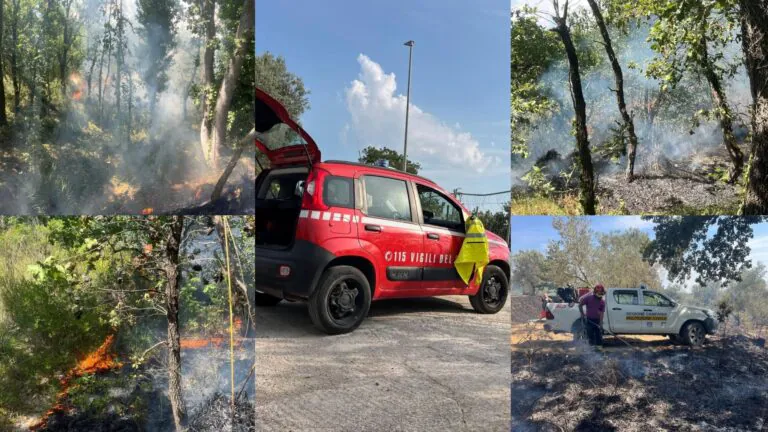 Uliveto in fiamme, interviene elicottero dei pompieri