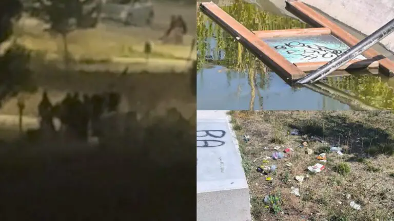 Raid nel parco Biolago, vandali distruggono tutto. Comune annuncia denuncia