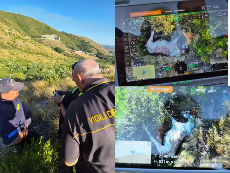 Cavallo precipita lungo il monte e muore, drone e elicottero in azione per localizzarlo