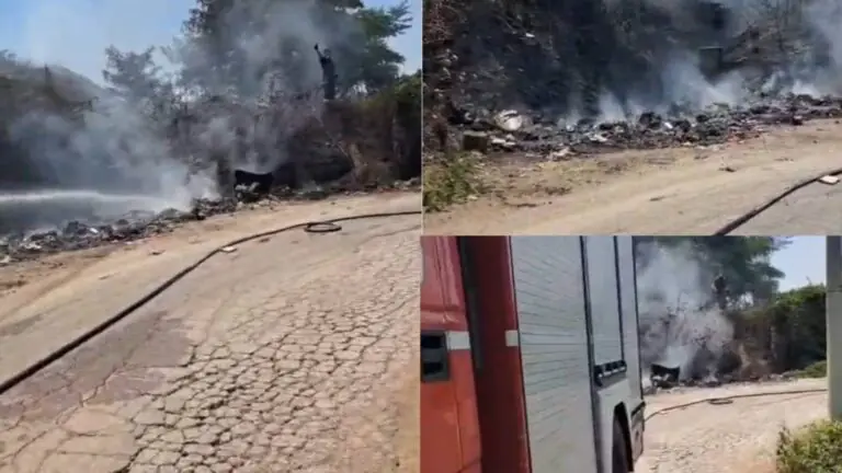 Appicca incendio e scappa, intervengono pompieri e Guardie Zoofile