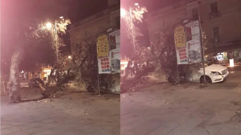 Albero si spezza e finisce su auto, paura in piazza