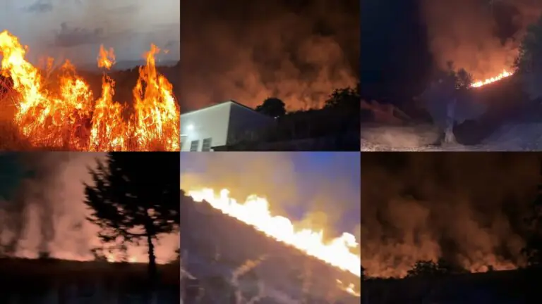 Maxi rogo boschivo, Protezione Civile in azione