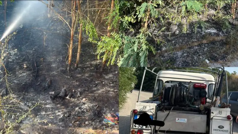 Rogo boschivo, in azione la Protezione Civile
