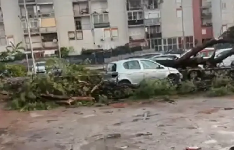Maltempo choc, albero crolla e abbatte 5 auto