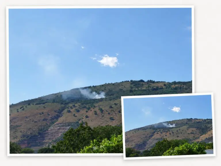Principio d’incendio sulla collina della frazione, cittadini allertano i Vigili del Fuoco