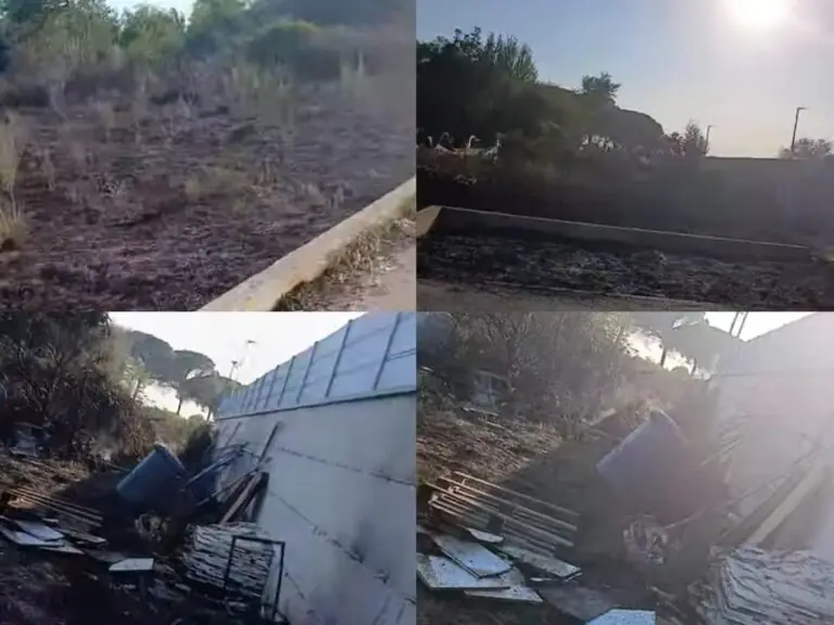 Appiccano roghi nei terreni nei pressi dei capannoni