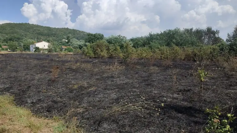 Terreno in fiamme, Protezione Civile e pompieri in azione