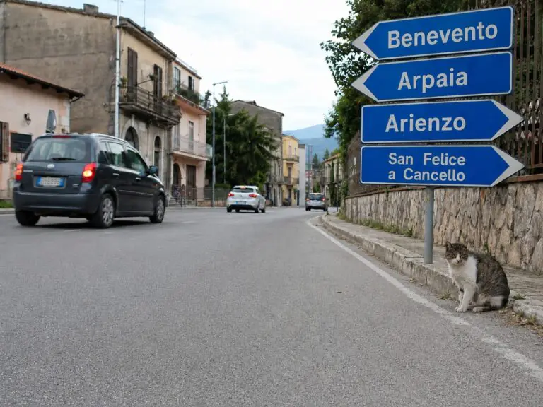 Cessa pericolosità sociale: ras della valle torna completamente libero