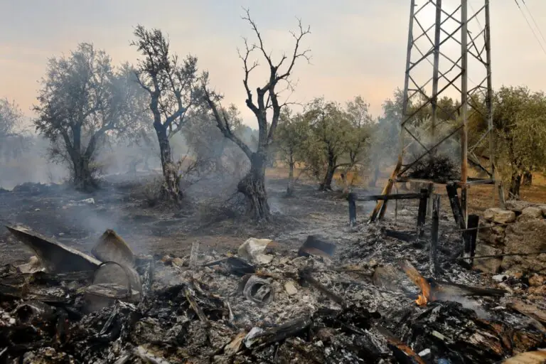 Incendio di rifiuti, fiamme distruggono ulivi e palo della luce