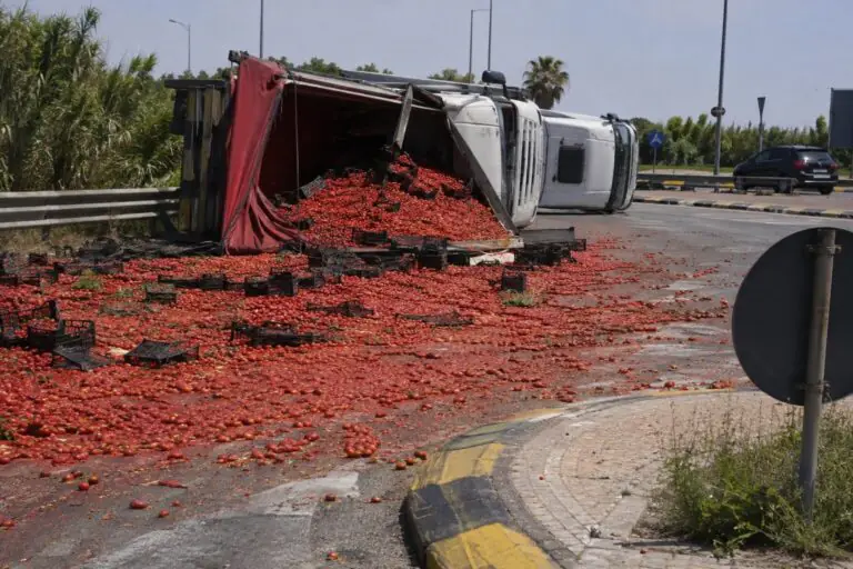 Tir si ribalta e carico si riversa in strada, disagi sulla Statale