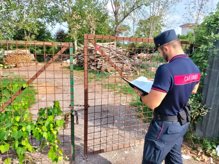 Militari mettono i sigilli a una segheria