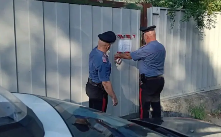 Blitz nell’allevamento, 75 aninali irregolari: 4 persone nei guai