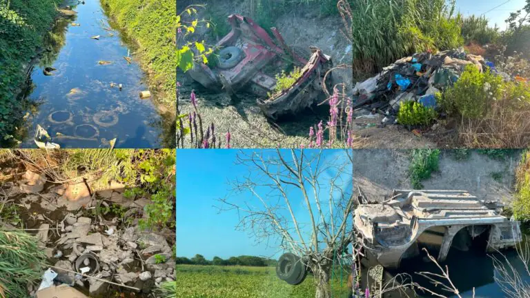 Discarica a cielo aperto, spuntano auto e penumatici sugli alberi
