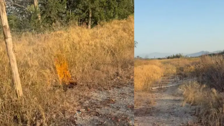 Sorpreso mentre appicca incendio
