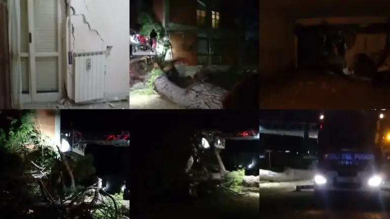 Albero crolla su palazzina, paura e danni. Pompieri sul posto