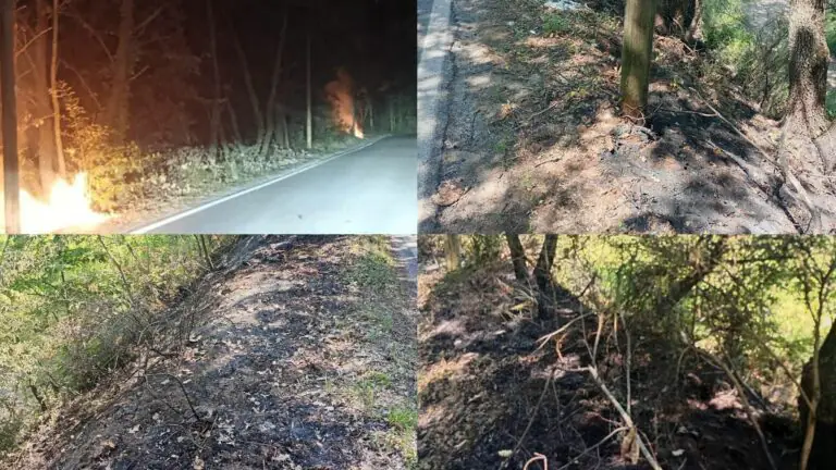 Appicca incendi, paura lungo la Provinciale