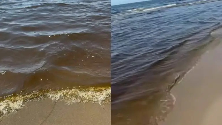 Ischitella, acqua gialla in mare e rabbia dei bagnanti: «Chi controlla»?