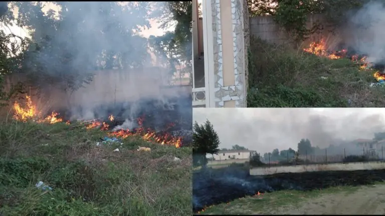 Continui roghi, Protezione Civile in azione