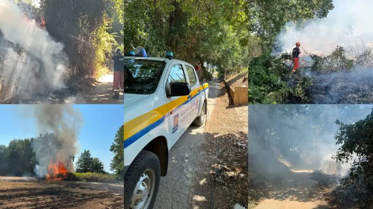 Vasto incendio, arriva la Protezione Civile