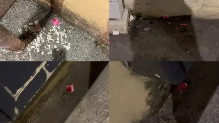 Spargono veleno in strada per uccidere gli animali, è allarme