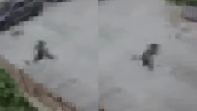 Aggredita e scippata in pieno giorno, paura nella frazione