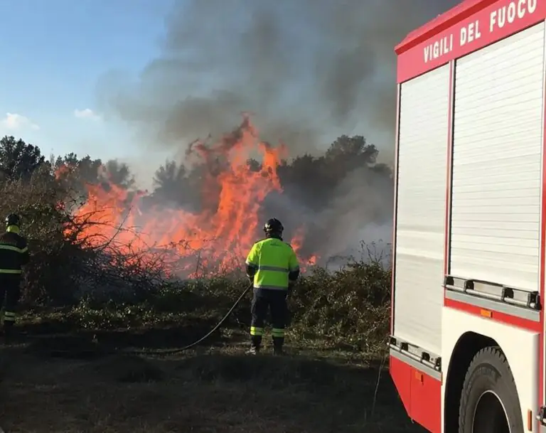 Incendio in un terreno, fiamme nei pressi delle abitazioni