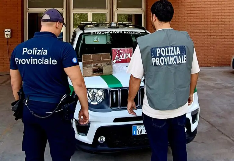 Tiene oltre 200 uccelli in casa, stanato dopo blitz