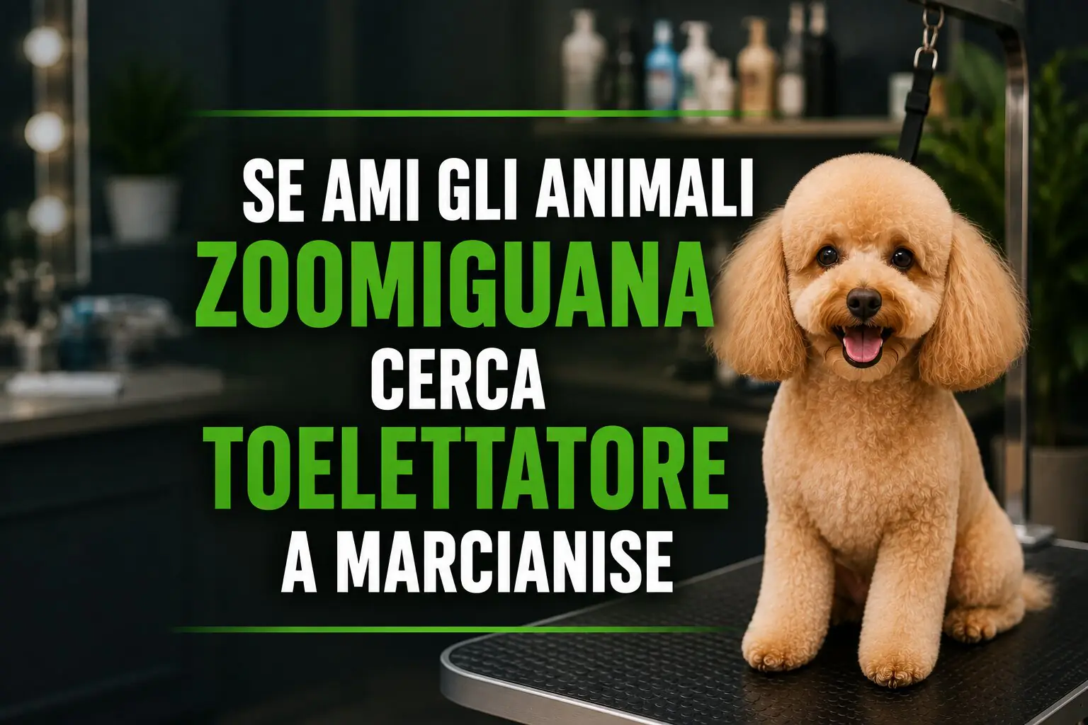 zoomiguana toelettatore