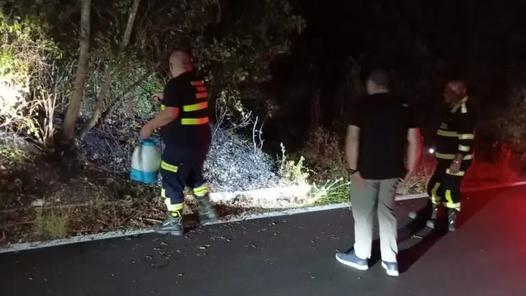 Roghi in diversi punti del territorio, in azione la Protezione Civile