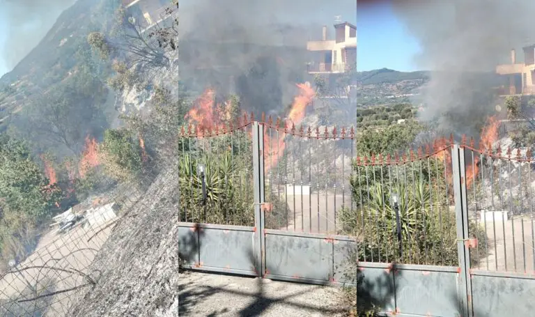 Vasto rogo, fiamme minacciano abitazioni