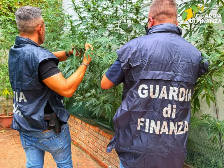 Piantagione in giardino, fucili e katana in casa: preso dopo blitz