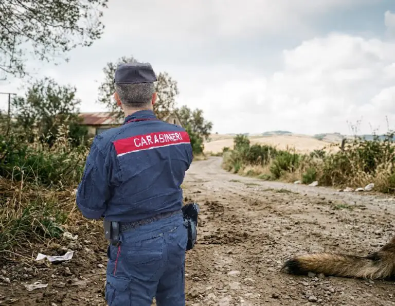 Pitbull morto abbandonato sul terreno, imprenditore nei guai