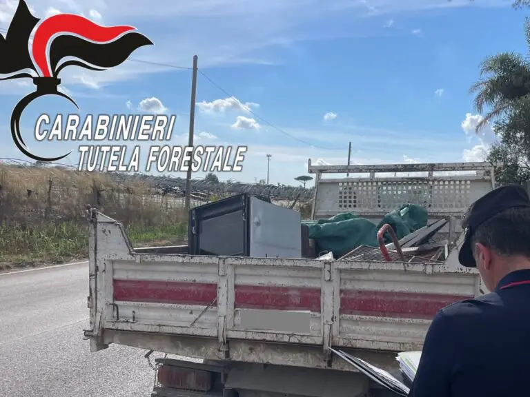 Militari bloccano autocarro: ecco cosa aveva a bordo