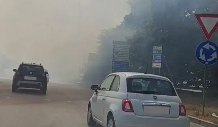 Vialone in tilt per incendio, auto bloccate dal fumo