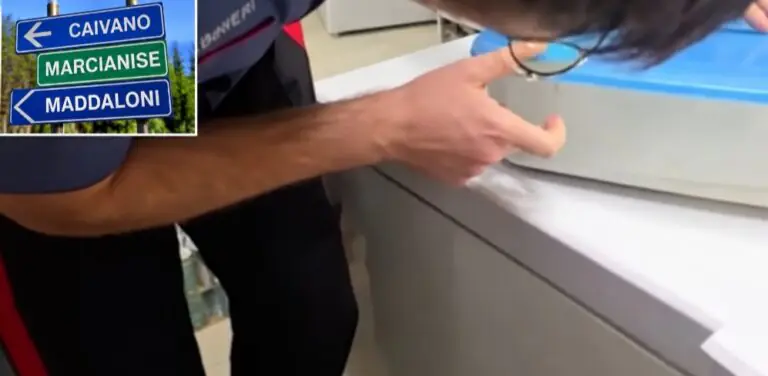 Insetti nei contenitori del cibo per minori. Nella farina spuntano i vermi