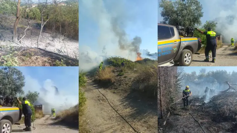 Vegetazione in fiamme, arriva la Protezione Civile