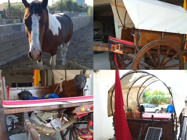 Rino e il suo cavallo Ferdinando ospiti di una famiglia della valle durante il loro viaggio verso Nord